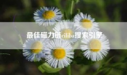 最佳磁力链ciliba搜索引擎