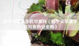 苏宁买苹果手机可靠吗（苏宁买苹果手机可靠吗安全吗）
