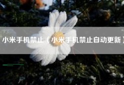 小米手机禁止（小米手机禁止自动更新）