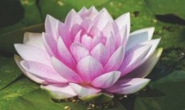 孙玲：从流水线工人到谷歌程序员