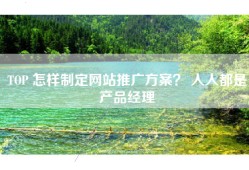 TOP 怎样制定网站推广方案？ 人人都是产品经理