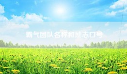 霸气团队名称和励志口号