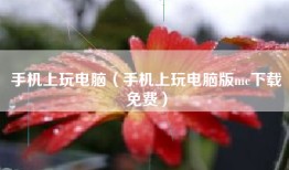 手机上玩电脑（手机上玩电脑版mc下载免费）