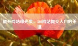 提升网站曝光度，360网站提交入口的关键