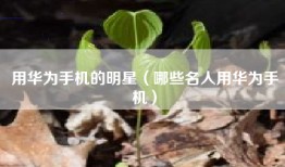 用华为手机的明星（哪些名人用华为手机）