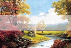 手机分流（分流手机版）