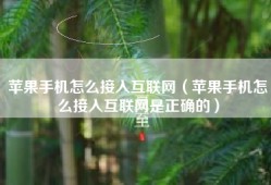 苹果手机怎么接入互联网（苹果手机怎么接入互联网是正确的）