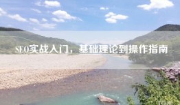 SEO实战入门，基础理论到操作指南