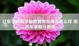 辽东学院的学前教育专业排名怎么样 附历年录取分数线