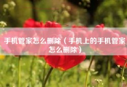 手机管家怎么删除（手机上的手机管家怎么删除）