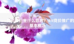 sem竞价推广是什么意思？SEM竞价推广的基本概念