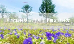 手机定制开发mtk手机「手机定制开发」