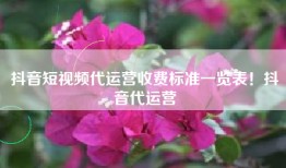 抖音短视频代运营收费标准一览表！抖音代运营