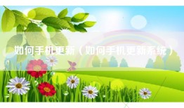 如何手机更新（如何手机更新系统）