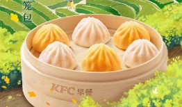 肯德基加盟手册，肯德基加盟方案