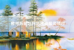 郴州苏仙区网站建设服务项目