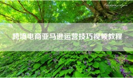 跨境电商亚马逊运营技巧视频教程