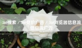 360搜索／360竞价广告／360浏览器信息流信息流广告