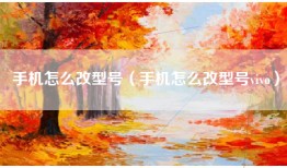 手机怎么改型号（手机怎么改型号vivo）