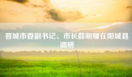 晋城市委副书记、市长薛明耀在阳城县调研