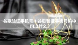 谷歌验证手机号（谷歌验证手机号码中国填什么）