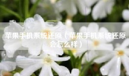 苹果手机系统还原（苹果手机系统还原会怎么样）