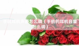 手机耳机声道怎么调（手机的耳机音量怎么调）