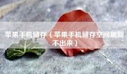 苹果手机储存（苹果手机储存空间刷新不出来）