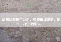 成都站群推广公司，引领市场潮流，助力企业腾飞