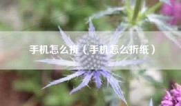 手机怎么折（手机怎么折纸）