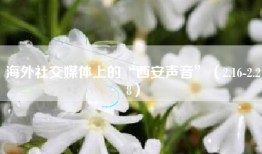 海外社交媒体上的“西安声音”（2.16-2.28）