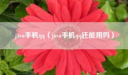 java手机qq（java手机qq还能用吗）