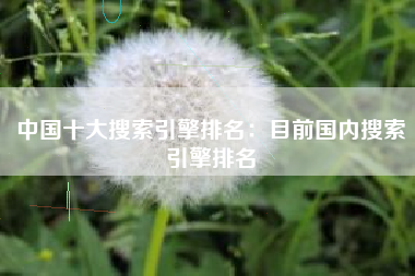 中国十大搜索引擎排名：目前国内搜索引擎排名