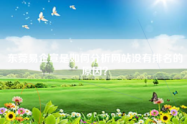 东莞易企宣是如何分析网站没有排名的原因？