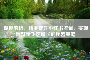 深度解析，精准提升小红书流量，实现浏览量飞速增长的秘密策略