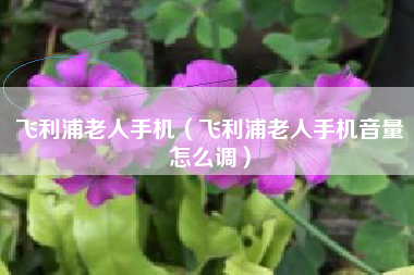 飞利浦老人手机（飞利浦老人手机音量怎么调）