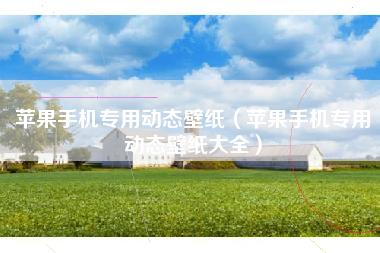 苹果手机专用动态壁纸（苹果手机专用动态壁纸大全）