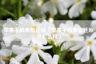 苹果手机系统还原（苹果手机系统还原会怎么样）