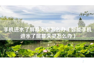 手机进水了屏幕失灵怎么办（智能手机进水了屏幕失灵怎么办）