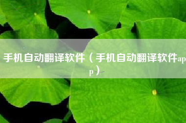 手机自动翻译软件（手机自动翻译软件app）