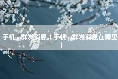 手机qq群发消息（手机qq群发消息在哪里）
