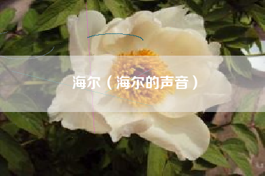 海尔（海尔的声音）