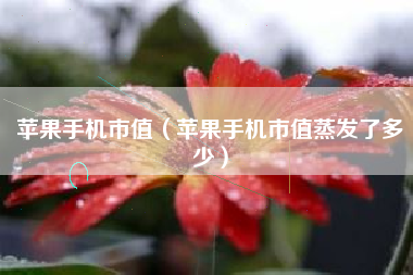 苹果手机市值（苹果手机市值蒸发了多少）