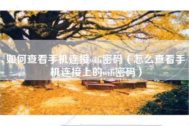 如何查看手机连接wifi密码（怎么查看手机连接上的wifi密码）