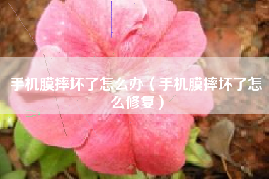 手机膜摔坏了怎么办（手机膜摔坏了怎么修复）