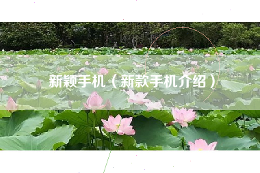 新颖手机（新款手机介绍）