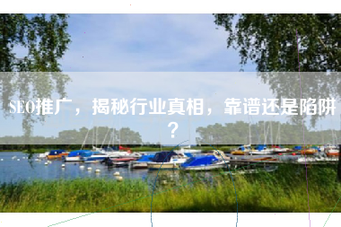 SEO推广，揭秘行业真相，靠谱还是陷阱？
