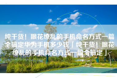 纯干货！眼花缭乱的手机命名方式一篇全搞定华为手机多少钱「纯干货！眼花缭乱的手机命名方式一篇全搞定」