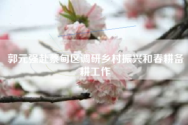 郭元强赴蔡甸区调研乡村振兴和春耕备耕工作